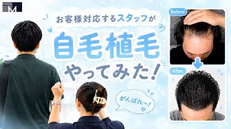 유튜브 제목