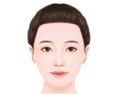 角ばった額