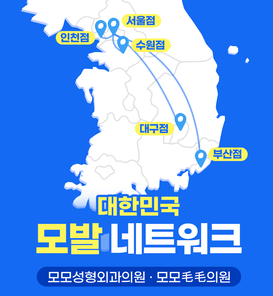 최대규모 모발네트워크